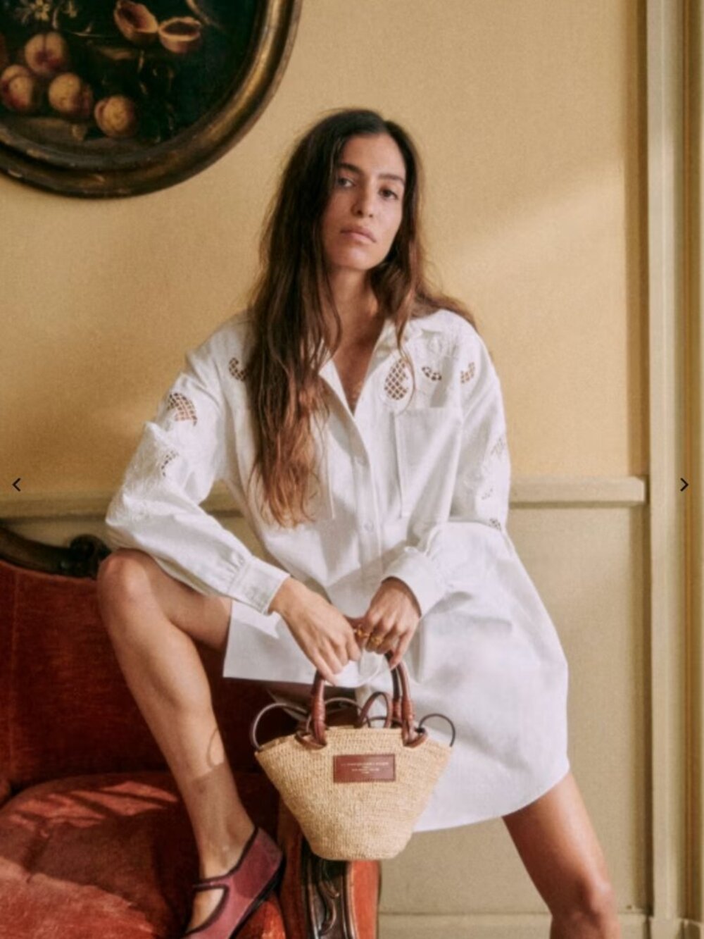Sezane Maxine Dress Embroidered White 34